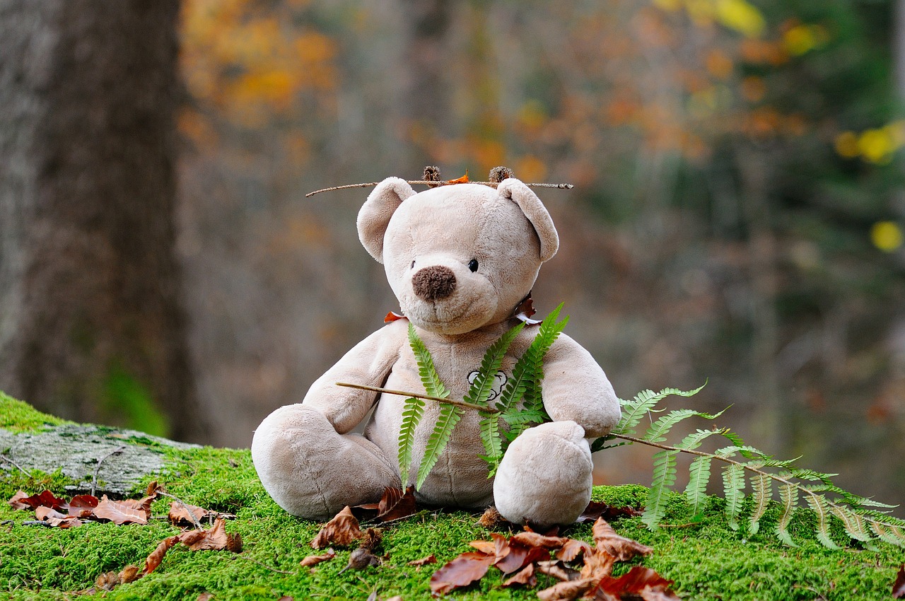 teddy-bear-524251_1280
